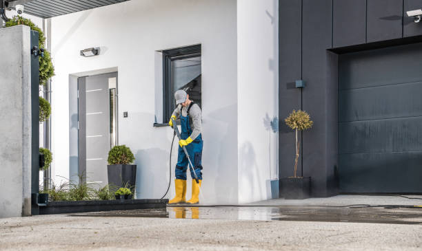Best Gutter Cleaning  in Chenoa, IL